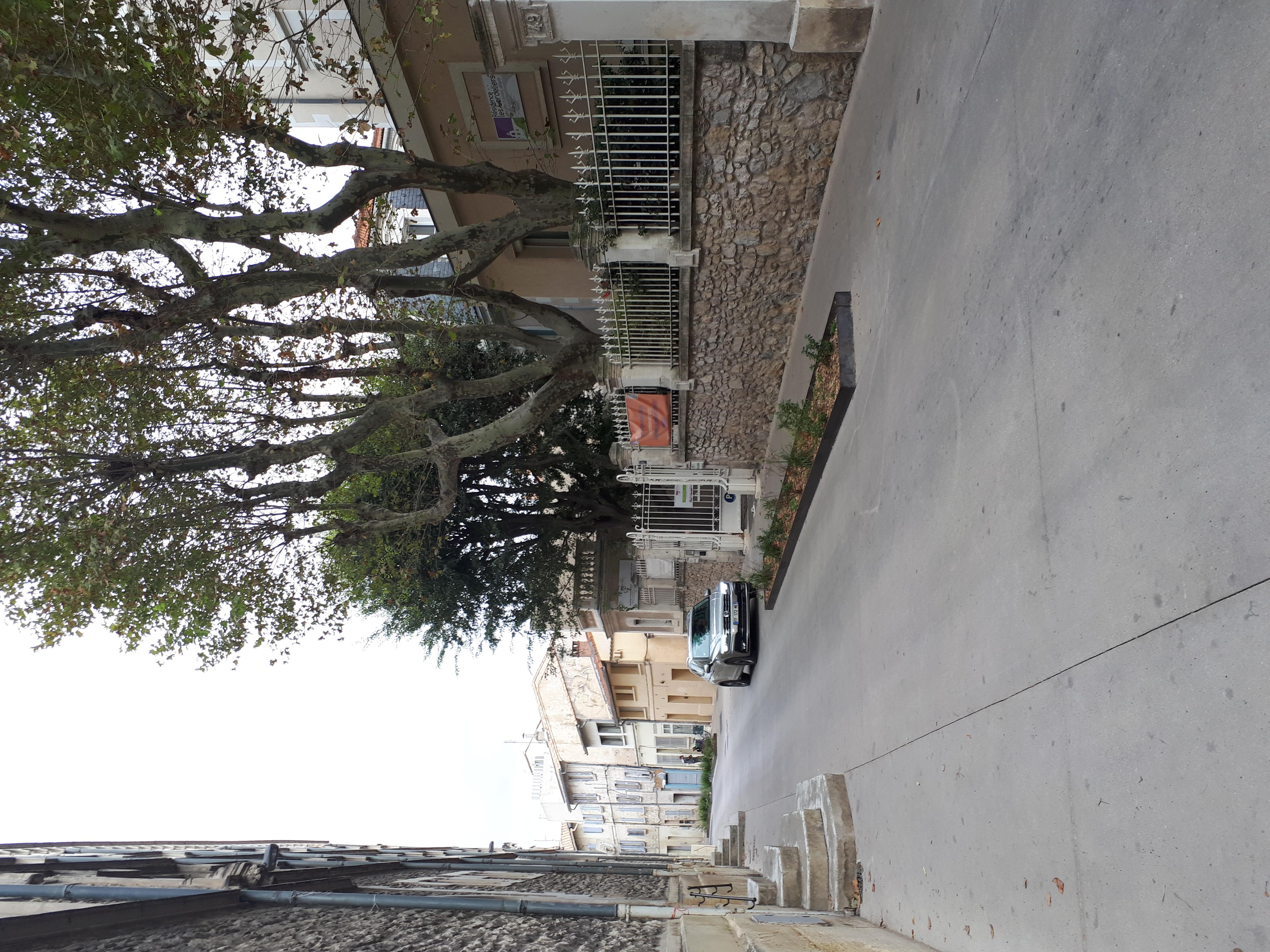 Les Cordeliers Avignon